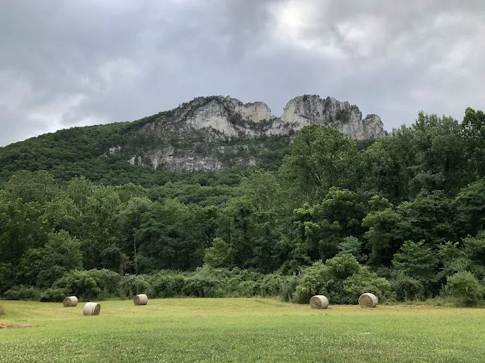 Seneca Shadows Campground Picture 5