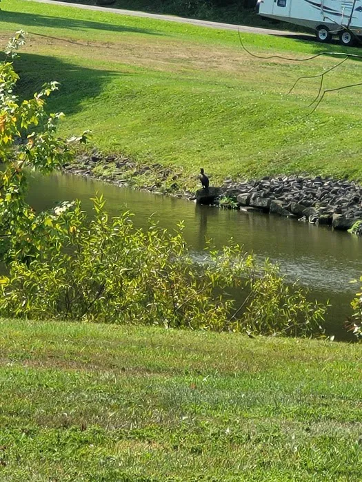 Meadow Lake Campground Picture 9