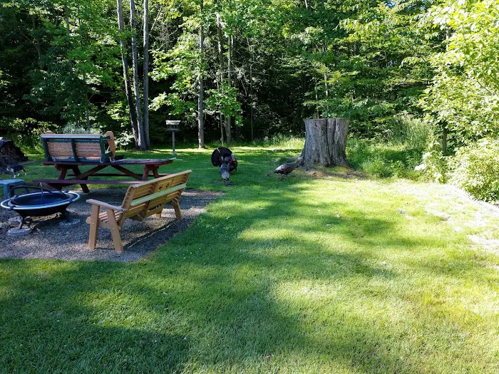 Holiday Camplands Association Picture 6