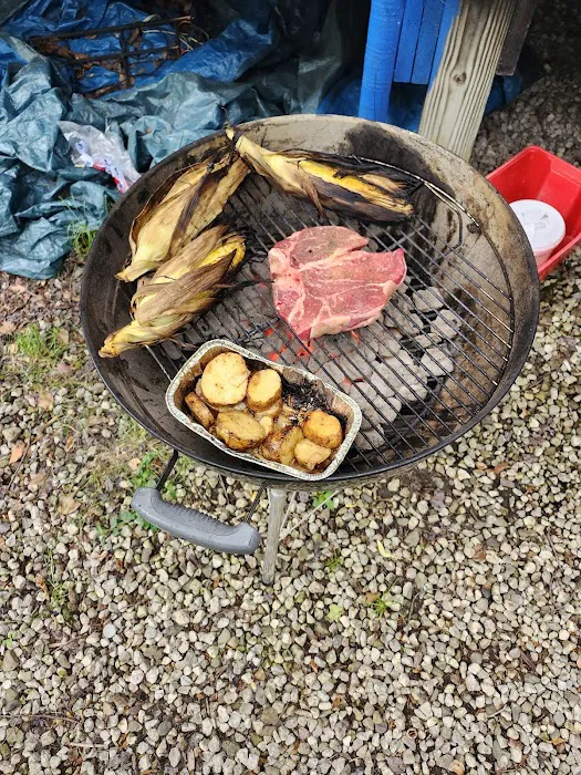 Holiday Camplands Association Picture 4