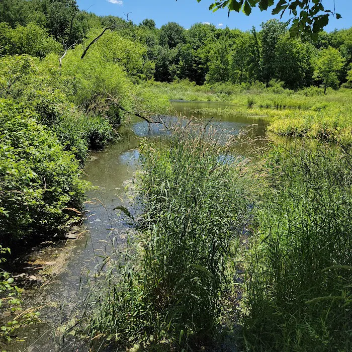 Pymatuning State Park (Ohio) - Cabins Picture 9