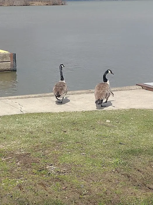 Pymatuning State Park - Ohio Campground Picture 3