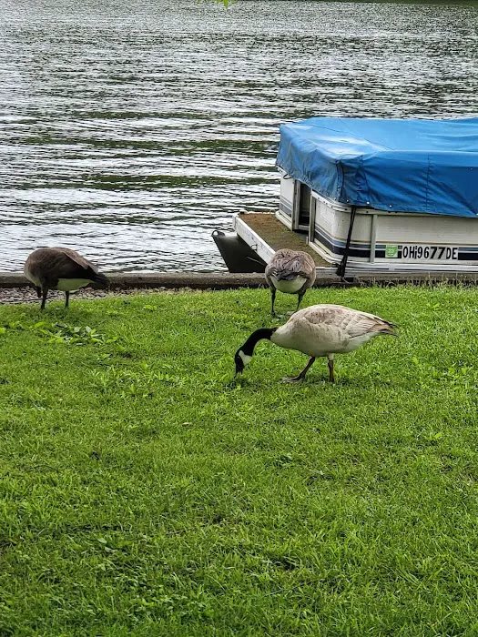 Pymatuning State Park Campground Picture 6