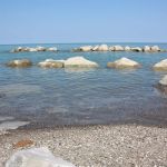 Little Lodges of Saybrook