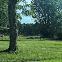 Willow Lake Campground ico