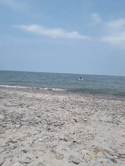 Geneva State Park Campground Picture 8