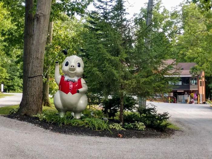 Kenisee's Grand River Camp & Canoe Picture 3