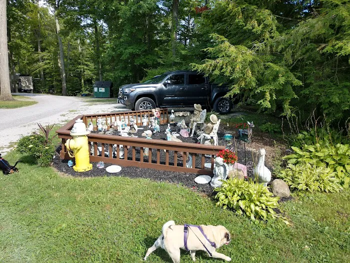 Kenisee's Grand River Camp & Canoe Picture 5