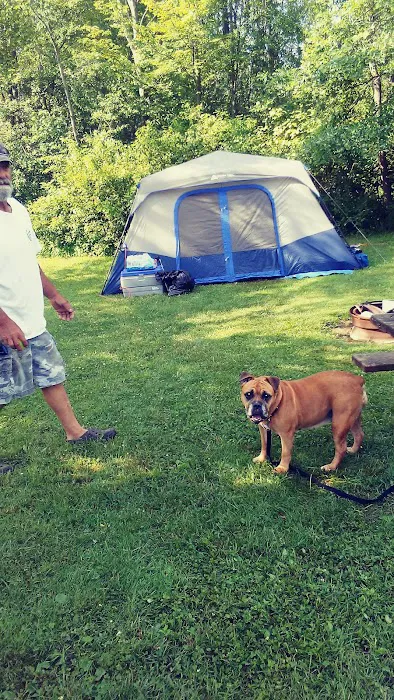 Kenisee's Grand River Camp & Canoe Picture 6