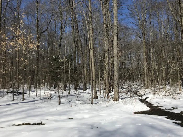 Beaumont Scout Reservation, Lake Erie Council BSA Picture 6