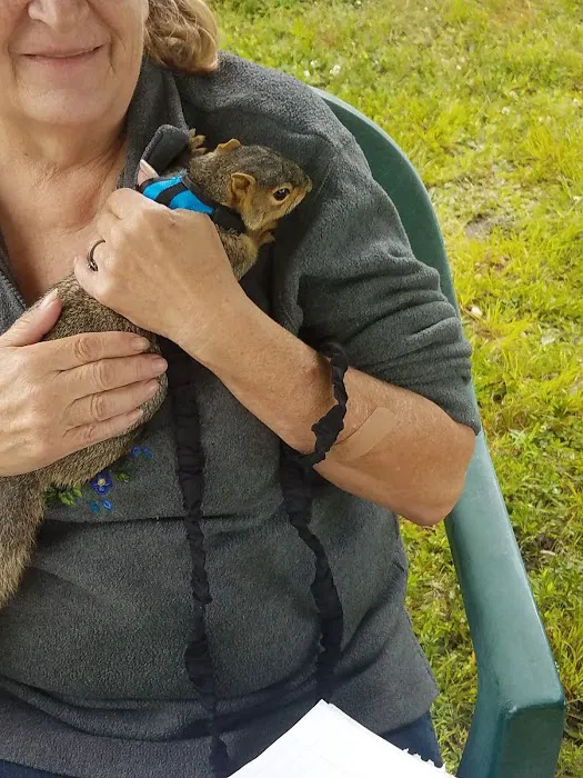 Wildwood Acres Picture 10