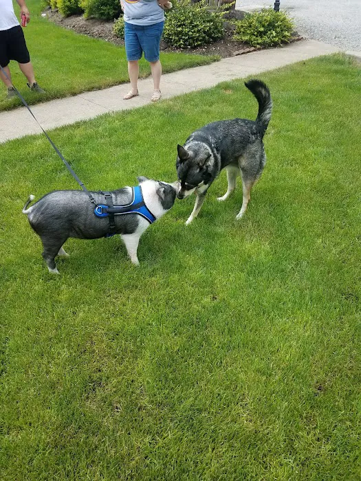 Wildwood Acres Picture 2