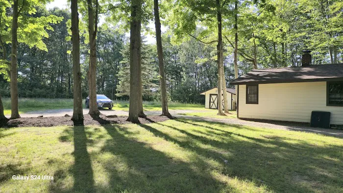 Strong Cabin Picture 4