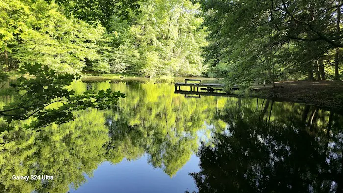 Strong Cabin Picture 7