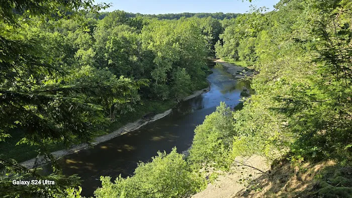 Strong Cabin Picture 10