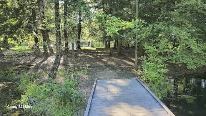 Strong Cabin Picture 6