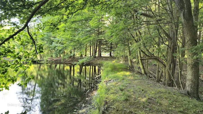 Strong Cabin Picture 8