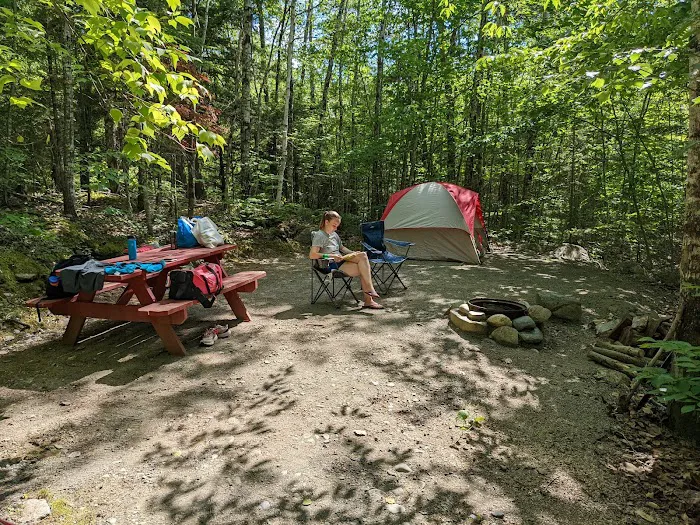 Bullfrog Adventures Picture 2