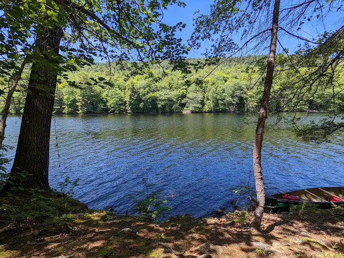 Bullfrog Adventures Picture 1