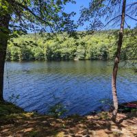 Bullfrog Adventures ico