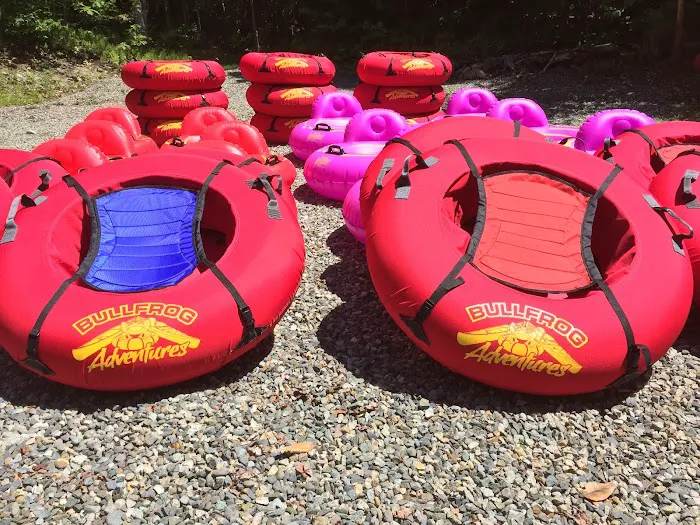 Bullfrog Adventures Picture 6