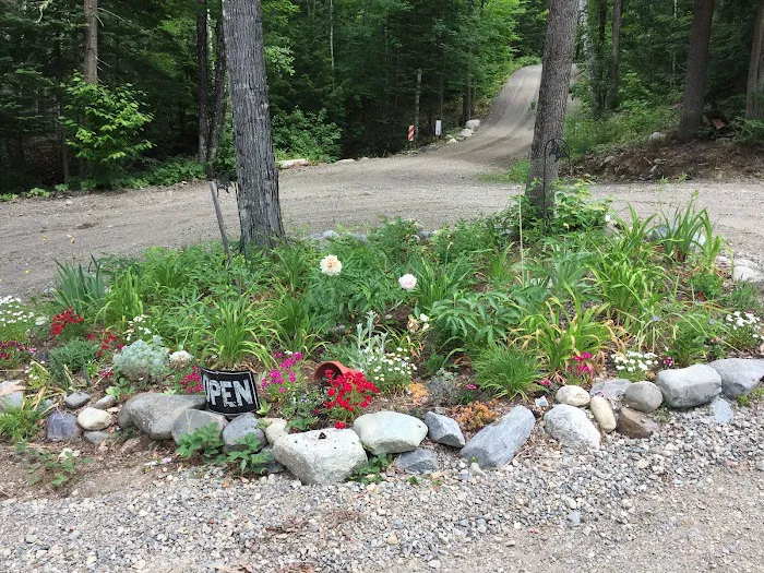 Bullfrog Adventures Picture 5