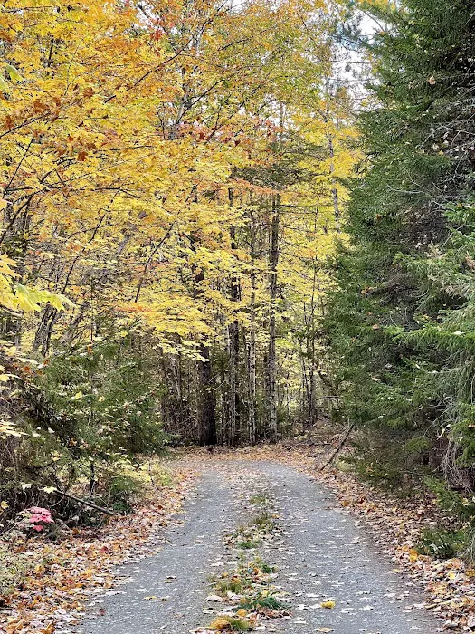 Maine’s Bureau of Parks and Lands Primative Campground Picture 3