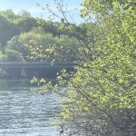 Evergreens Campground & Restaurant