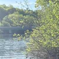 Evergreens Campground & Restaurant ico