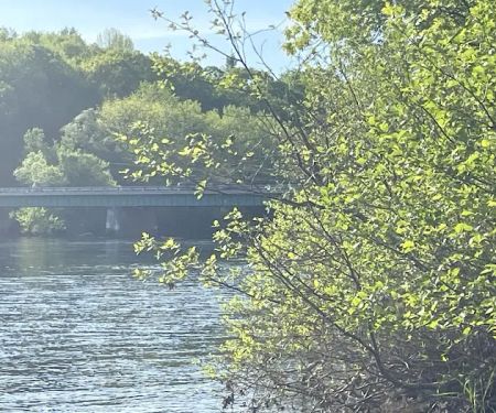 Evergreens Campground & Restaurant