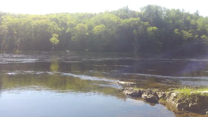 Loggers Landing Campground Picture 3