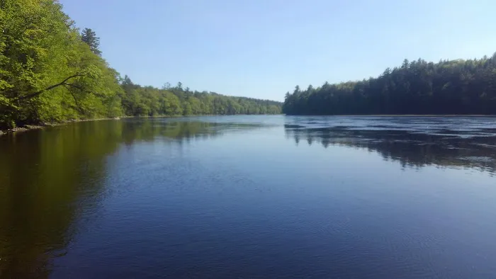 Loggers Landing Campground Picture 5