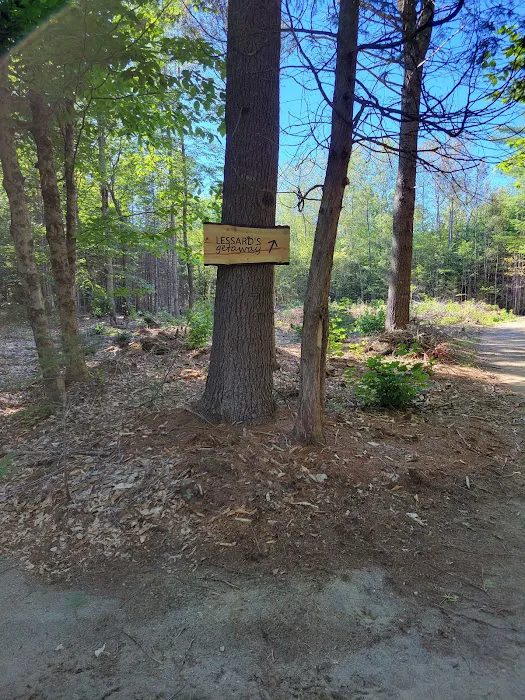Lessard's Getaway Picture 6