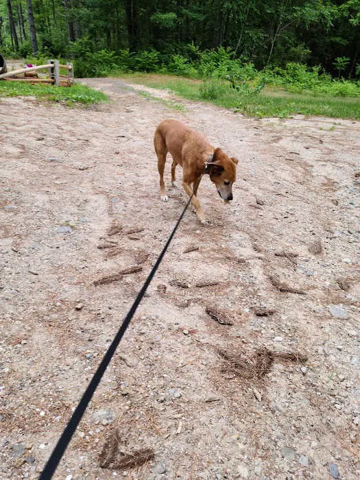 Range Pond Campground Picture 8