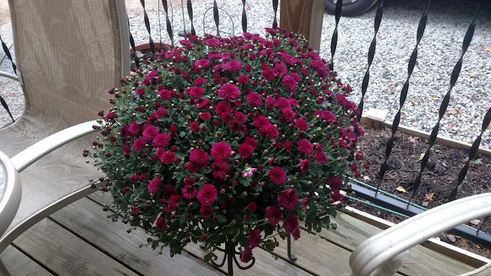 Range Pond Campground Picture 7