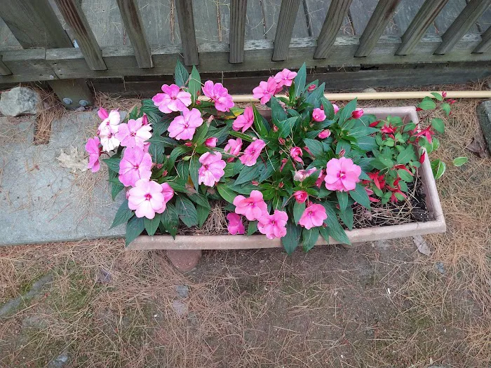 Range Pond Campground Picture 5