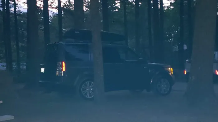 Camp Tall Pines Picture 4