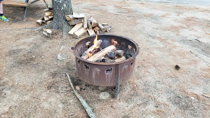 Camp Tall Pines Picture 3