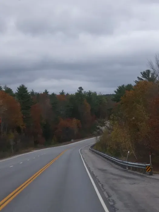 Camp Tall Pines Picture 7