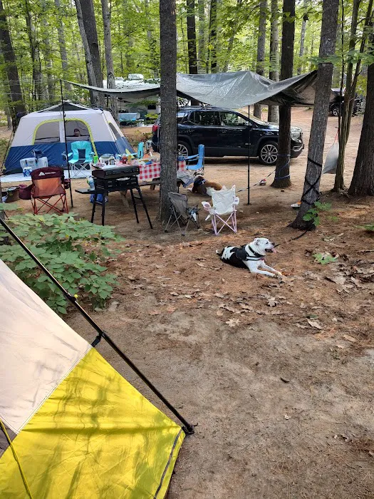 Poland Spring Campground Picture 9