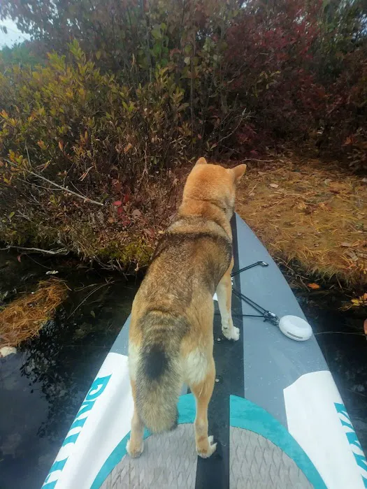 Poland Spring Campground Picture 3