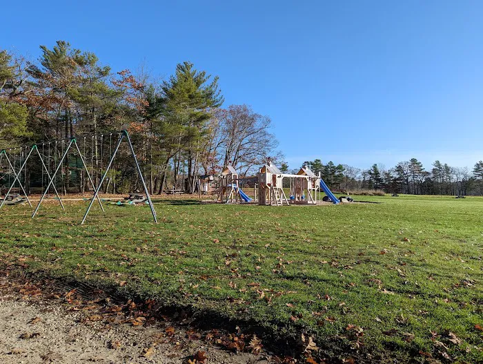 Wolfe's Neck Oceanfront Camping Picture 5