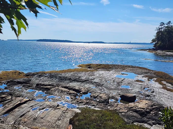 Wolfe's Neck Oceanfront Camping Picture 6