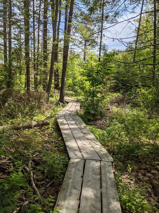 Wolfe's Neck Oceanfront Camping Picture 7
