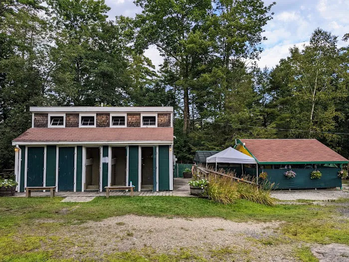 Wolfe's Neck Oceanfront Camping Picture 8