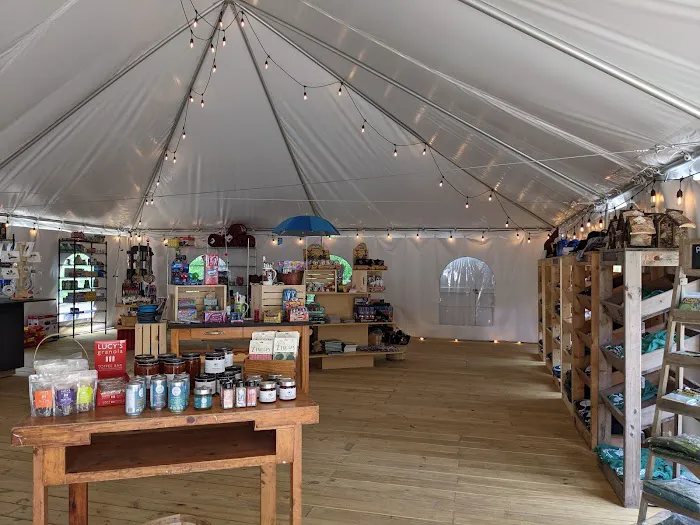 Wolfe's Neck Oceanfront Camping Picture 2