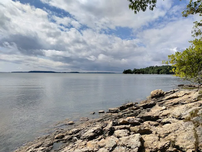 Wolfe's Neck Oceanfront Camping Picture 3