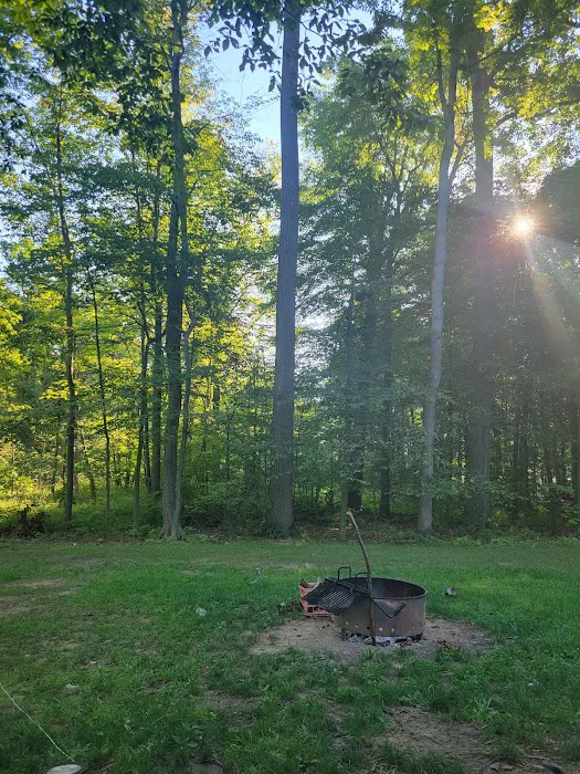 Mosquito Lake State Park Campground Picture 2