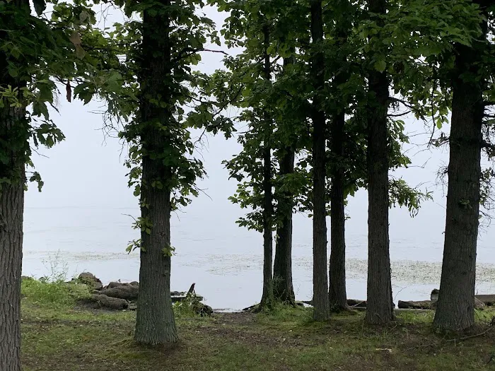 Mosquito Lake State Park Campground Picture 9