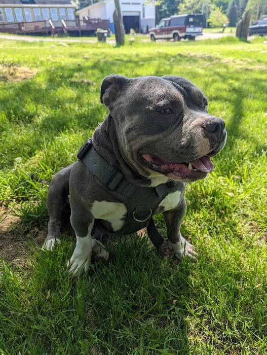 Robinson's Lakeside Campgrounds Picture 3